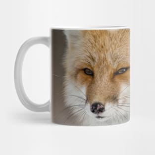 Red Fox Mug